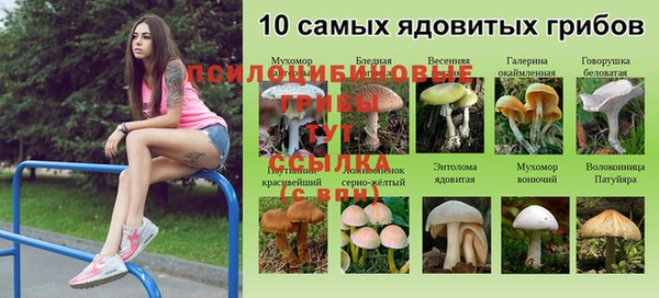 ALPHA PVP Алзамай