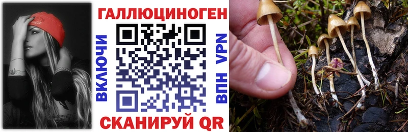 Галлюциногенные грибы мицелий наркотики Арамиль